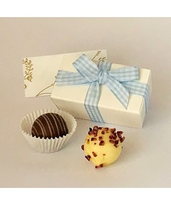 2 Choc Gingham - Blue