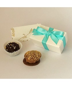 Aqua Wedding & Party Favours 2 Choc Bow